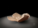 Handmade Dogwood Flower Set – Floral Clay Sculpture | Sculptures by Leramic