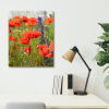 Photograph • Poppies, Flowers, England, Nature, Floral | Photography by Honeycomb. Item made of metal & paper