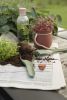 Green-It | Plants & Flowers by Viviana Degrandi | RIG-TIG in København