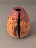 Juniper Hollow Form 1 | Ornament in Decorative Objects by Wood Alchemist Studio. Item composed of wood