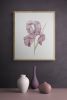 Iris No. 172 : Original Watercolor Painting | Paintings by Elizabeth Becker. Item composed of paper in minimalism or contemporary style