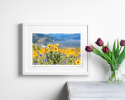 Photograph • Wildflower Season, Columbia River Gorge, PNW | Photography by Honeycomb. Item made of metal with paper
