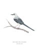 Set of 4 framed bird prints | Drawings by Stacie Dale. Item made of paper compatible with rustic and traditional style