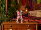 Pop Bulldog | Sculptures by Anastasiia Krykun. Item made of ceramic works with modern style