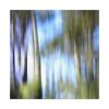 Dream Forest 51161 | Oil And Acrylic Painting in Paintings by Petra Trimmel. Item made of wood with canvas