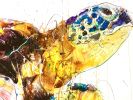 Sea Turtle Oversized Hand Finished Edition | Oil And Acrylic Painting in Paintings by Dave White. Item made of canvas