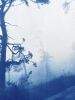 Ancient Trees: 30 x 20" unframed hand-printed cyanotype | Photography by Christine So. Item composed of cotton and paper in boho or country & farmhouse style