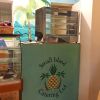 Indoor Mural | Murals by 2 Sisters | Small Island Catering Ltd in Portsmouth