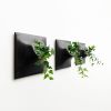 Node S Wall Planter, 6" Modern Plant Wall Set, Black | Plant Hanger in Plants & Landscape by Pandemic Design Studio. Item made of stoneware works with minimalism & mid century modern style
