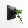 Node S Wall Planter, 6" Mid Century Modern Planter, Black | Plant Hanger in Plants & Landscape by Pandemic Design Studio. Item made of stoneware compatible with minimalism and mid century modern style