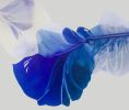 Let the blue bloom the Sacred / 50x60" | Oil And Acrylic Painting in Paintings by Marta Spendowska. Item made of canvas works with minimalism style
