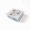 Neococo Coaster Set of 4 | Tableware by 204 Haus Crafters. Item composed of synthetic in boho or mid century modern style