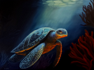 Sea Turle | Oil And Acrylic Painting in Paintings by Red Door Art by Jodi Wendt. Item composed of canvas compatible with contemporary and coastal style