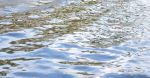 Calming Water | Photography by Rica Belna. Item composed of canvas and paper