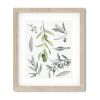 Olive Botanical Study Assemblage (Pair) Art Prints | Prints by Jennifer Lorton Art. Item made of paper works with contemporary & country & farmhouse style
