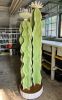 Cacti Lovers | Floor Lamp in Lamps by Syds Fab Shop. Item composed of ceramic compatible with southwestern style