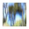 Dream Forest 51171 | Oil And Acrylic Painting in Paintings by Petra Trimmel. Item made of canvas with synthetic