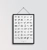 Terrestrial Arthropods | Prints by Chrysa Koukoura. Item made of paper compatible with traditional style