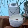 Tullia Candle | Candle Holder in Decorative Objects by Marie Burgos Design and Collection. Item made of ceramic