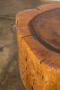 Carved Live Edge Solid Wood Trunk Table ƒ35 by Costantini | Side Table in Tables by Costantini Design. Item composed of wood