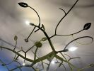 newGROWTH with leaves | Chandeliers by CP Lighting. Item made of aluminum works with contemporary & country & farmhouse style