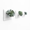 Node M Wall Planter, 9" Modern Plant Wall Set, White | Sculptures by Pandemic Design Studio. Item composed of stoneware in minimalism or mid century modern style