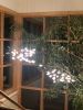 Birdies in Aspen | Chandeliers by Beau&Bien