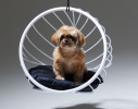 Studio Stirling - Furry Friends Collection | Swing Chair in Chairs by Studio Stirling