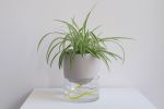 Kapi big pebble | Planter in Vases & Vessels by Krafla | Krafla Studio in Kraków. Item made of ceramic with glass works with minimalism & contemporary style