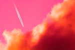 Escape | Limited Edition Print | Photography by Tal Paz-Fridman | Limited Edition Photography. Item composed of paper in contemporary or modern style