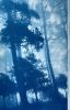 The Day Begins: 35 x 23" original cyanotype, ed. 1 of 3) | Photography by Christine So. Item composed of paper in rustic or traditional style