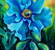 Blue Himalayan Poppy | Oil And Acrylic Painting in Paintings by Iryna Fedarava. Item made of canvas works with contemporary & country & farmhouse style