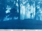Sunrise Ridge (23 x 35" hand-printed cyanotype, ed. 1/3) | Photography by Christine So