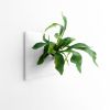 Node L Wall Planter, 12" Mid Century Modern Planter, White | Plant Hanger in Plants & Landscape by Pandemic Design Studio. Item made of stoneware compatible with minimalism and mid century modern style