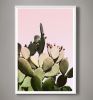 Prickly Pear Cactus on Pink | Photography by Capricorn Press. Item composed of paper