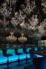 Brilliant Bar | Interior Design by Studio Belenko