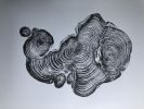 Cypress from Ireland, Tree Ring Art Print | Prints by Erik Linton. Item composed of paper