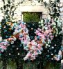 “Bloom” Project | Art & Wall Decor by Marryam Moma