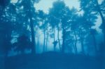 Sunrise Ridge (23 x 35" hand-printed cyanotype, ed. 1/3) | Photography by Christine So
