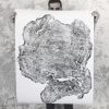 Tree Ring Print Big Leaf Maple From Massachusetts | Prints by Erik Linton. Item composed of paper