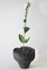 The Black Dome | Vase in Vases & Vessels by ZHENI. Item made of ceramic