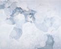 Bullae | Oil And Acrylic Painting in Paintings by Joanna Cutri