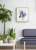 Iris No. 101 : Original Watercolor Painting | Paintings by Elizabeth Becker. Item made of paper compatible with minimalism and contemporary style