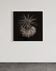 Ethereal Bloom | Photography by Tal Shpantzer | Talfoto Studio. Item compatible with minimalism and contemporary style