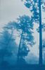 Morning Valley Light: 24x18" unframed hand-printed cyanotype | Photography by Christine So. Item made of cotton with paper works with boho & country & farmhouse style