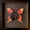 Flower Butterfly Boxes | Decorative Frame in Decorative Objects by Lorna Doyan. Item composed of paper