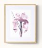 Iris No. 200 : Original Ink Painting | Watercolor Painting in Paintings by Elizabeth Becker. Item composed of paper in boho or minimalism style