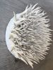"The desire to be in control #4" small round wall sculpture | Wall Hangings by Natasha Kanevski. Item made of canvas compatible with minimalism and contemporary style