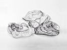 Seashells - graphite drawing | Drawings by Melissa Patel. Item made of paper & synthetic