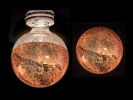Bee's Obsession | Sconces by F+M FOS - Anna Maria Fragiskos Bitros. Item composed of copper